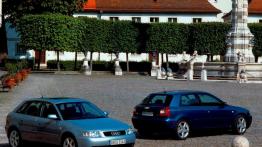 Czy warto kupić: używane Audi A3 (od 1996 do 2003)