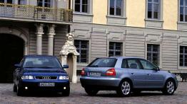 Czy warto kupić: używane Audi A3 (od 1996 do 2003)