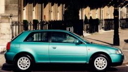 Czy warto kupić: używane Audi A3 (od 1996 do 2003)