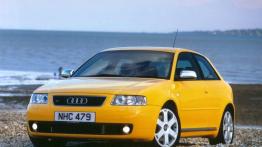 Czy warto kupić: używane Audi A3 (od 1996 do 2003)