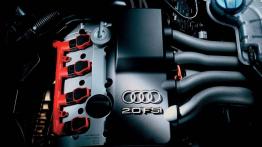 Czy warto kupić: używane Audi A4 B6 (od 2000 do 2004)