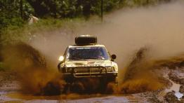 Peugeot 205 - widok z przodu