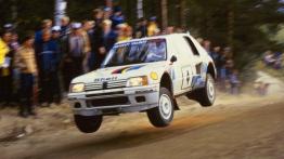 Peugeot 205 - widok z przodu