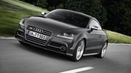 Audi TT 8N Coupe 1.8 T 225KM 165kW 1998-2006