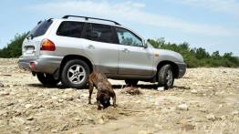 Brzydki, ale wart zainteresowania - Hyundai Santa Fe (2001-2006)