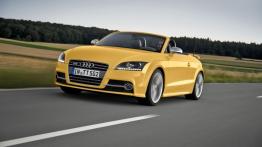 Audi TT 8N Roadster 1.8 T 163KM 120kW 2005-2006