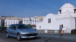 Peugeot 206 - widok z przodu