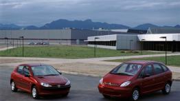 Peugeot 206 - widok z przodu