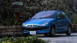 Peugeot 206 - widok z przodu