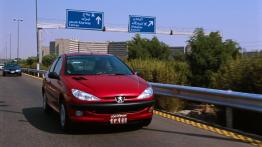 Peugeot 206 - przód - reflektory wyłączone