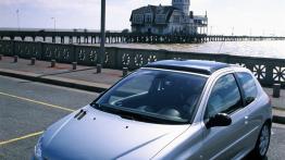 Peugeot 206 - widok z przodu