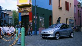 Peugeot 206 - lewy bok