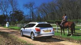 Peugeot 407 - tył - inne ujęcie