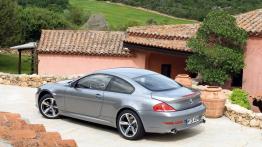 BMW Seria 6 E63 2007 - lewy bok