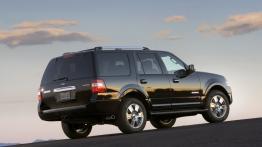 Ford Expedition 2007 - prawy bok