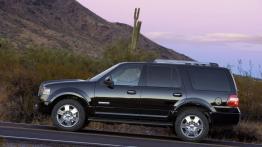 Ford Expedition 2007 - lewy bok