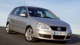 Volkswagen Polo 2007 - widok z przodu