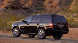 Ford Expedition 2007 - lewy bok