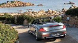 BMW Seria 6 E64 2007 - widok z tyłu