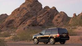 Ford Expedition 2007 - lewy bok