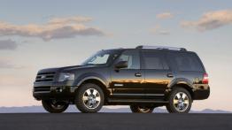 Ford Expedition 2007 - lewy bok