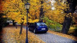 Opel Signum 2.8 V6 turbo ECOTEC 250KM 184kW 2007-2008