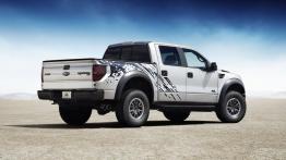 Ford seria F XI 6.0 TD 325KM 239kW 2004-2008
