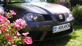 Z odrobiną emocji - Seat Ibiza 6L (2002-2008)
