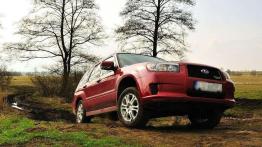 Niezniszczalny leśnik - Subaru Forester (2002-2008)