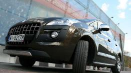 Francuska krzyżówka - Peugeot 3008