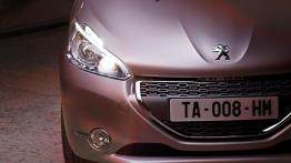 Peugeot 208 - grill