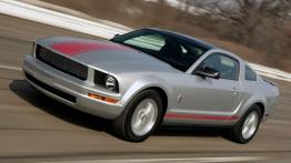 Ford Mustang 2009 - lewy bok