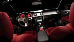 Ford Mustang 2009 - pełny panel przedni