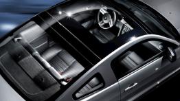 Ford Mustang 2009 - szyberdach