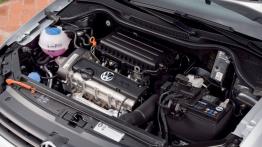 Volkswagen Polo 2009 - silnik
