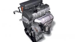 Volkswagen Polo 2009 - silnik solo