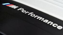 BMW X5 III (2014) M50d - silnik
