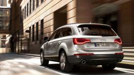 Audi Q7 I SUV Facelifting 3.0 TDI 240KM 177kW 2009-2011
