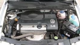 Mniej awaryjny od Golfa - Volkswagen Polo (1994-2001)