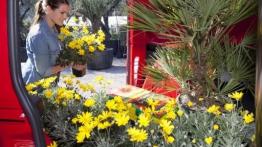 Opel Combo D Van L1 - widok ogólny wnętrza