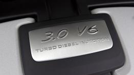 Porsche Cayenne III Diesel (2011) - silnik