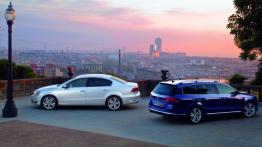 Volkswagen Passat B7 kombi (2011) - widok z tyłu