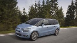 Citroen Grand C4 Picasso II (2014) - lewy bok