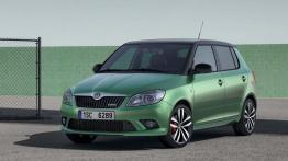 Skoda Fabia II Hatchback 1.9 TDI 105KM 77kW 2007-2010