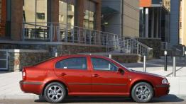 Czy warto kupić: używana Skoda Octavia (1996-2010)