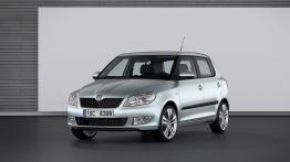 Skoda Fabia II Hatchback Facelifting 1.2 HTP 60KM 44kW od 2010