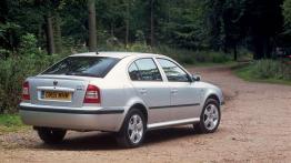 Czy warto kupić: używana Skoda Octavia (1996-2010)