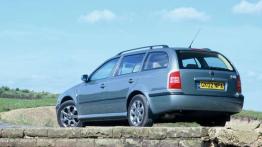 Czy warto kupić: używana Skoda Octavia (1996-2010)