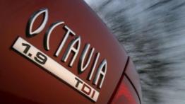 Czy warto kupić: używana Skoda Octavia (1996-2010)