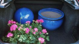 Czy warto kupić: używana Skoda Octavia (1996-2010)